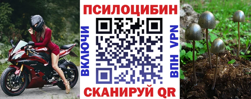 Галлюциногенные грибы Cubensis shop какой сайт Свободный